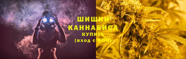 МДПВ Бронницы