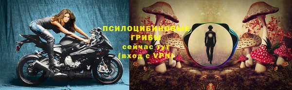 гашик Бугульма