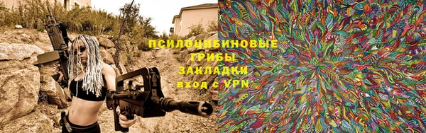 скорость Бородино