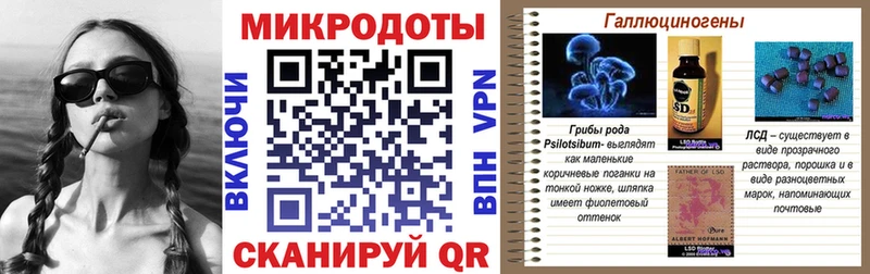 Галлюциногенные грибы Psilocybine cubensis  Купить  Дмитров 